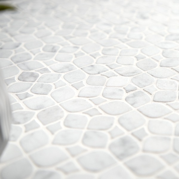 Manoir Marseille Mosaics by Terra Bella