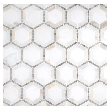 A field of the Hexagon micromosaic A field of the Hexagon micromosaic