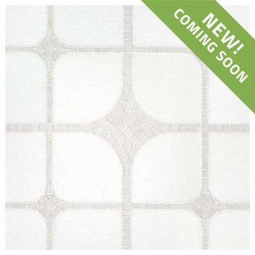 The Vita waterjet mosaic in honed Thassos Select and polished Sivec White marble.
